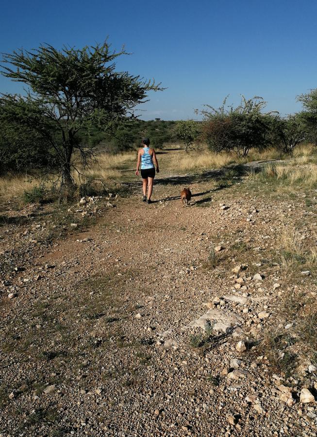 Etotongwe Lodge Outjo Exterior photo